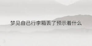 夢見自己行李箱丟了預(yù)示著什么