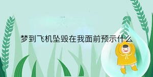 夢到飛機墜毀在我面前預示什么