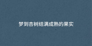 夢(mèng)到杏樹(shù)結(jié)滿(mǎn)成熟的果實(shí)