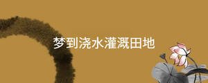 夢(mèng)到澆水灌溉田地