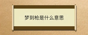 夢(mèng)到槍是什么意思