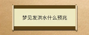 夢見發(fā)洪水什么預兆