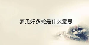 夢見好多蛇是什么意思