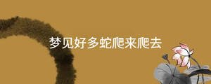 夢見好多蛇爬來爬去