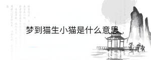 夢(mèng)到貓生小貓是什么意思