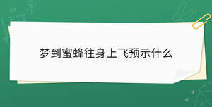 夢到蜜蜂往身上飛預示什么