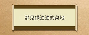 問(wèn)答 - 2023-05-15T103145.599.jpg
