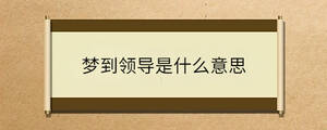 夢(mèng)到領(lǐng)導(dǎo)是什么意思