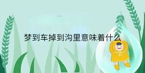 夢(mèng)到車掉到溝里意味著什么