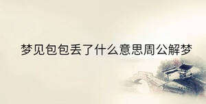 夢(mèng)見(jiàn)包包丟了什么意思周公解夢(mèng)