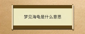 夢(mèng)見(jiàn)海龜是什么意思
