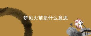 夢(mèng)見(jiàn)火苗是什么意思