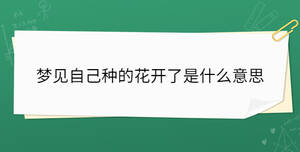 開學季 - 2023-06-16T135443.057.jpg