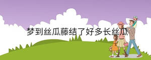 夢到絲瓜藤結(jié)了好多長絲瓜