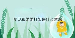 夢(mèng)見(jiàn)和弟弟打架是什么意思
