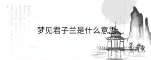 夢(mèng)見君子蘭是什么意思
