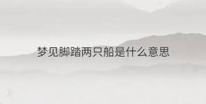夢(mèng)見腳踏兩只船是什么意思