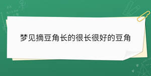 夢(mèng)見(jiàn)摘豆角長(zhǎng)的很長(zhǎng)很好的豆角