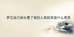 傳統(tǒng) - 2023-07-22T110005.579.jpg