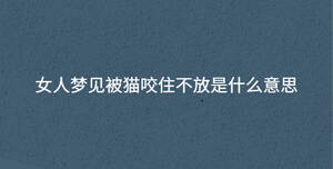 女人夢(mèng)見(jiàn)被貓咬住不放是什么意思