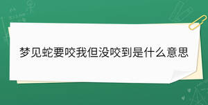夢見蛇要咬我但沒咬到是什么意思