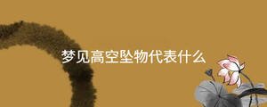 夢見高空墜物代表什么