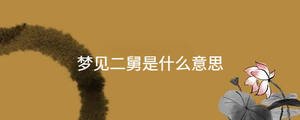 夢(mèng)見(jiàn)二舅是什么意思