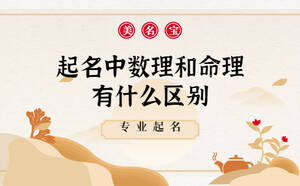 起名中數(shù)理和命理有什么區(qū)別